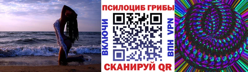 где купить наркотик  Неман  Галлюциногенные грибы ЛСД 
